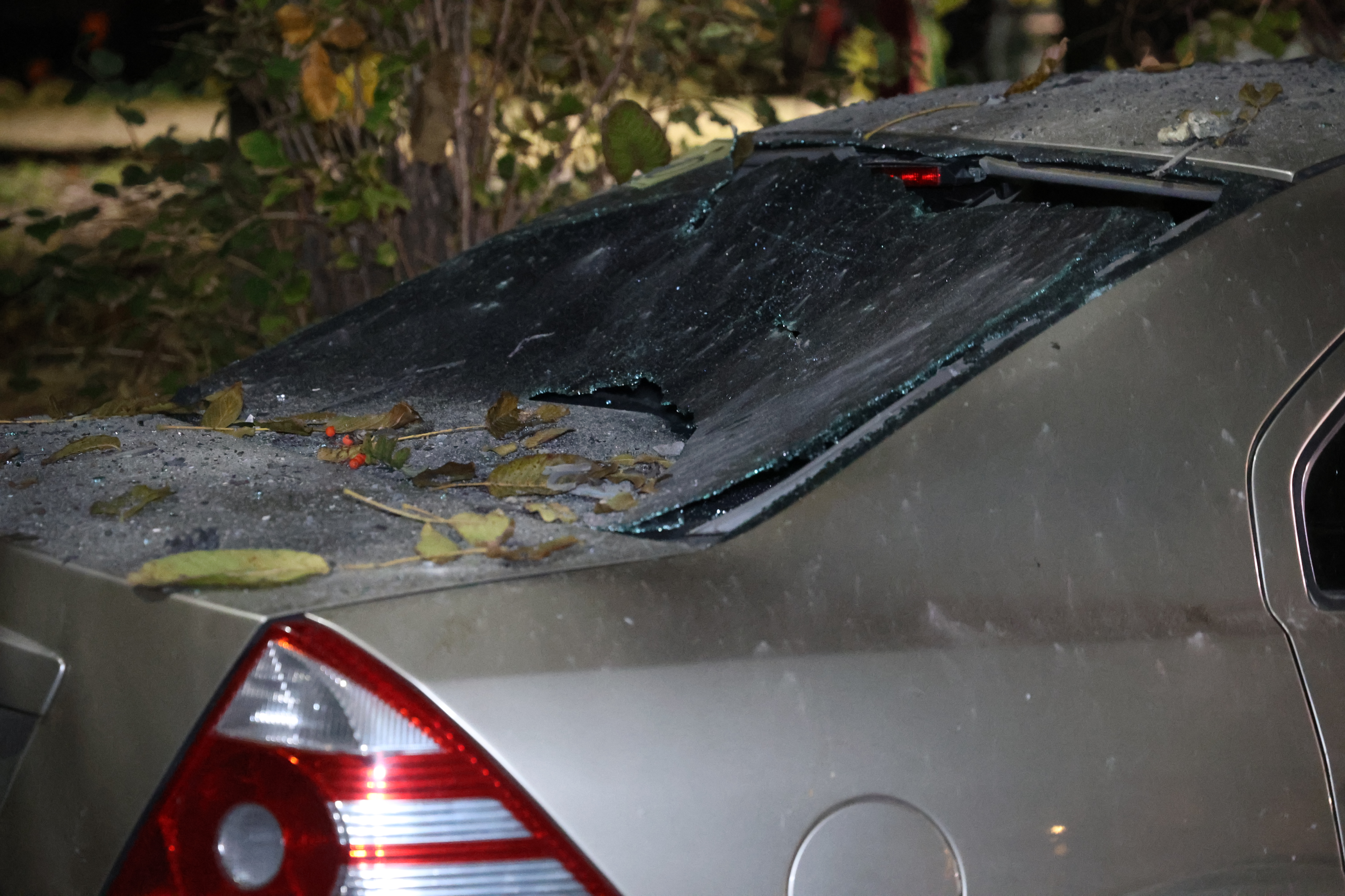 ��������&nbsp; ������������ �� ����� ��� ���������� �� ������