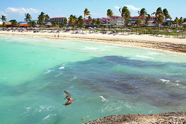 Вводная картинка