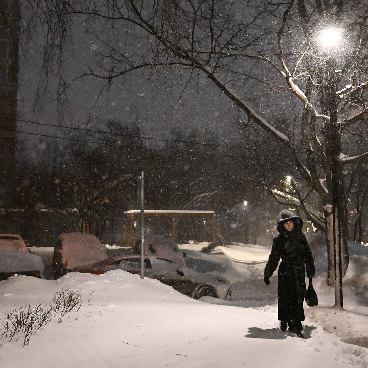 В Москве примут меры из-за похолодания