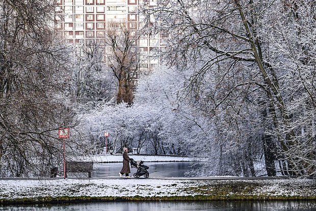 Вводная картинка