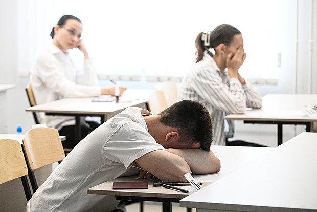 Вводная картинка