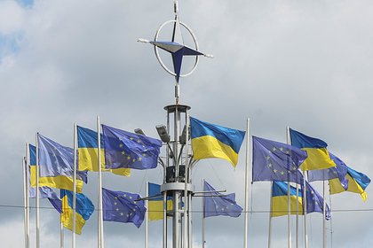 В плане Трампа по Украине увидели противоречие целям Зеленского