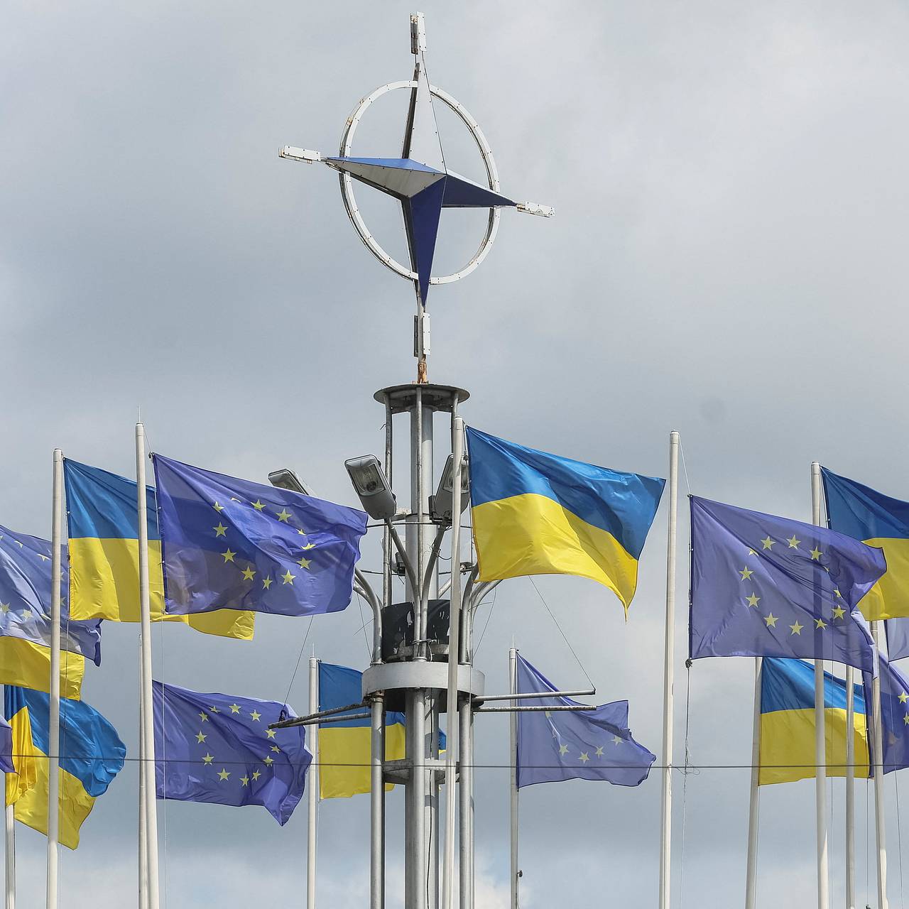 В плане Трампа по Украине увидели противоречие целям Зеленского