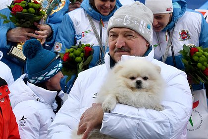 Зеленский сравнил права белорусов и собаки Лукашенко