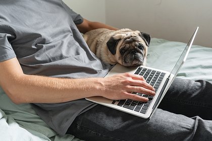 Названы претендующие на удаленную работу категории россиян