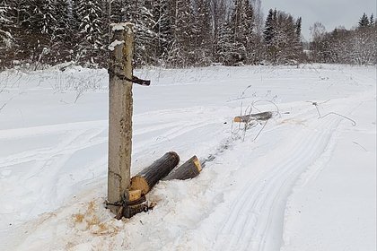 Пенсионер попытался похитить более километра проводов с ЛЭП в Удмуртии
