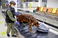 Российского ветеринара осудили за контрабанду кокаинового рома. Как корыстная подруга подставила ее, превратив в наркокурьера?