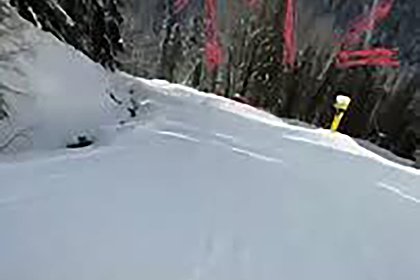 Волк погнался за отдыхающим на горнолыжном курорте в России мужчиной и попал на видео