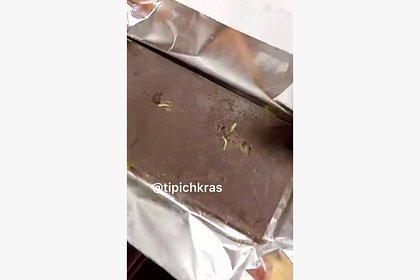 Россиянка показала на видео купленный в &laquo;Магните&raquo; шоколад с червями