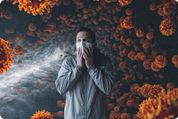 «Неизлечимый» вирус Нипах действительно угрожает России? Что говорят специалисты