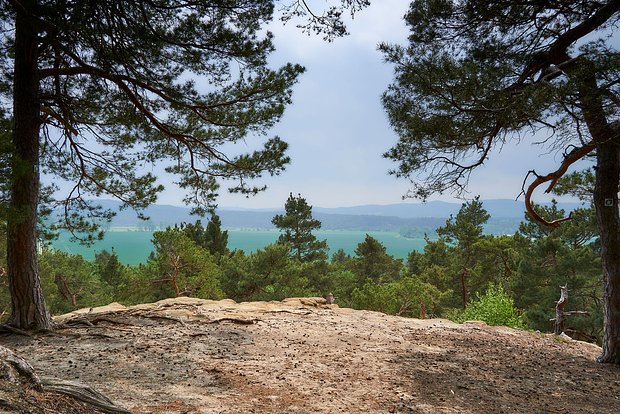 Вводная картинка