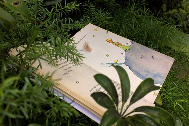 Вводная картинка