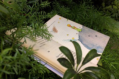 Глава &laquo;Газпром-медиа&raquo; назвал обязательную к прочтению книгу