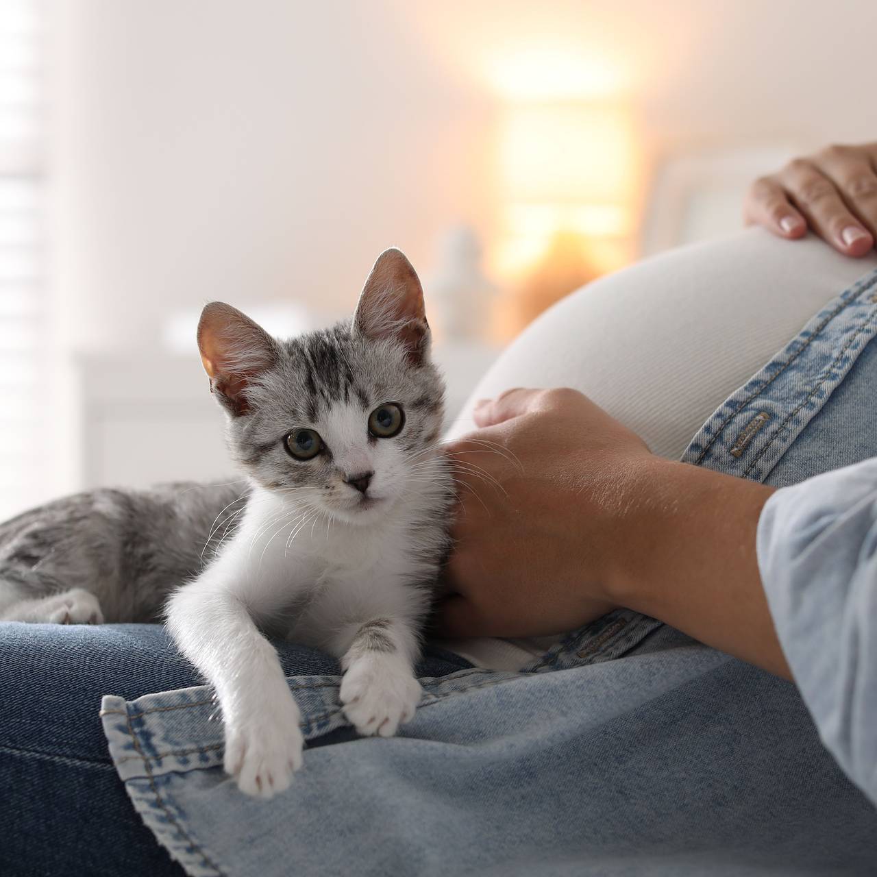 Беременная женщина спасла своего кота от огромного питона