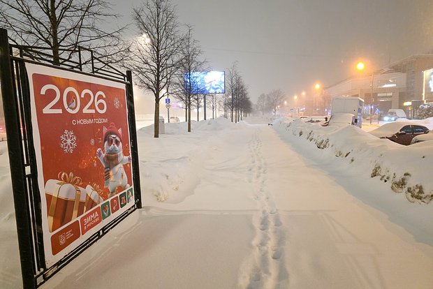 Вводная картинка