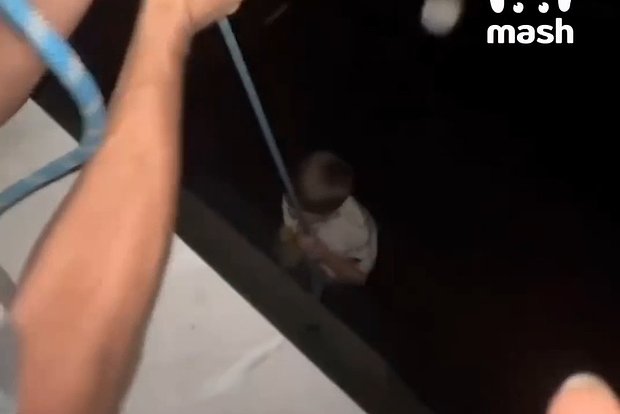 Вводная картинка