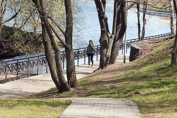 Вводная картинка