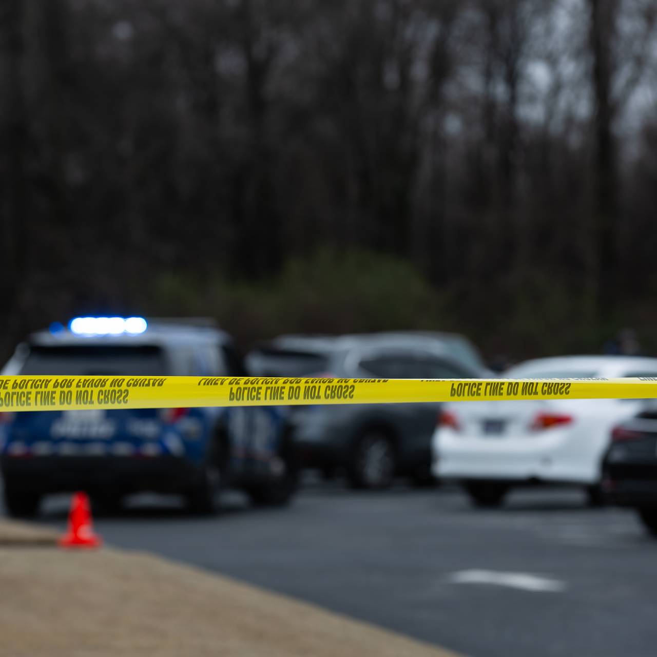 Рядом с Пентагоном нашли загадочные останки