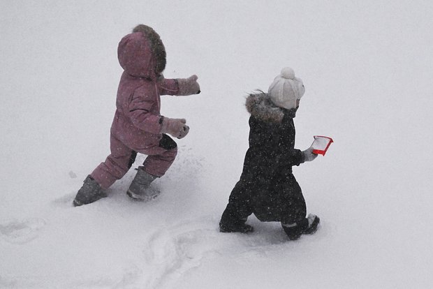 Вводная картинка