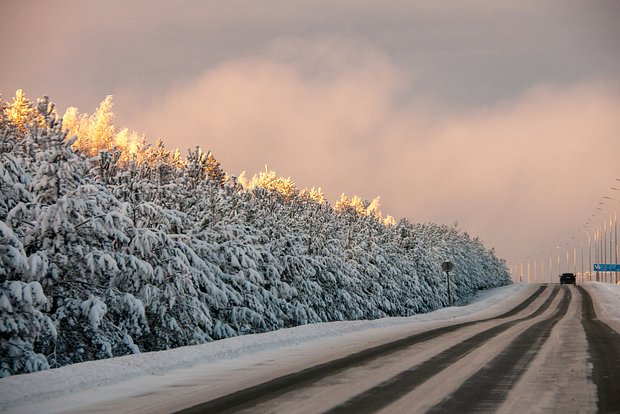 Вводная картинка