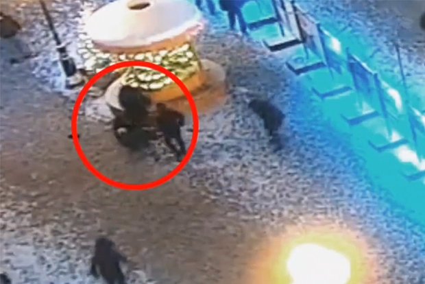 Вводная картинка