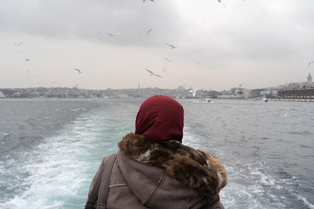 Вводная картинка