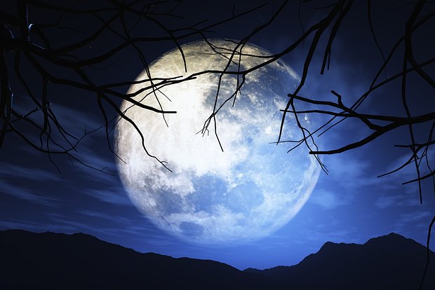 Вводная картинка