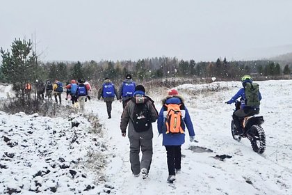 Поиски бесследно пропавшей семьи Усольцевых возобновили. Спасатели обследуют туалеты, подвалы и сараи