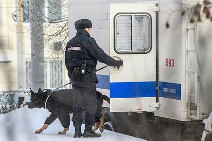 Предложение бесплатной медпомощи толкнуло 20-летнюю россиянку на теракт
