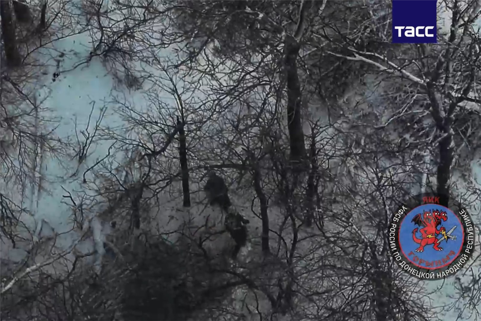 Ликвидация&nbsp; «Горынычем» диверсантов на окраинах Димитрова попала на видео