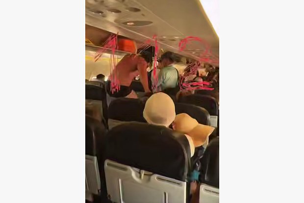 Вводная картинка