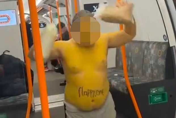 Вводная картинка