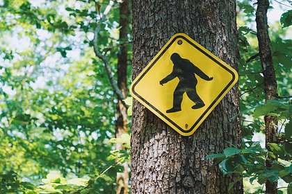 Чудовище проникло на американскую военную базу