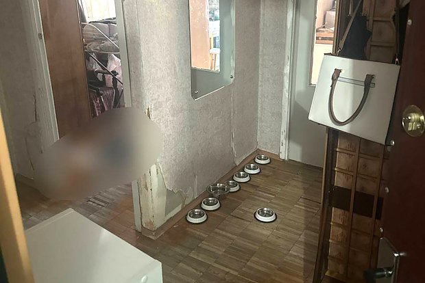 Вводная картинка