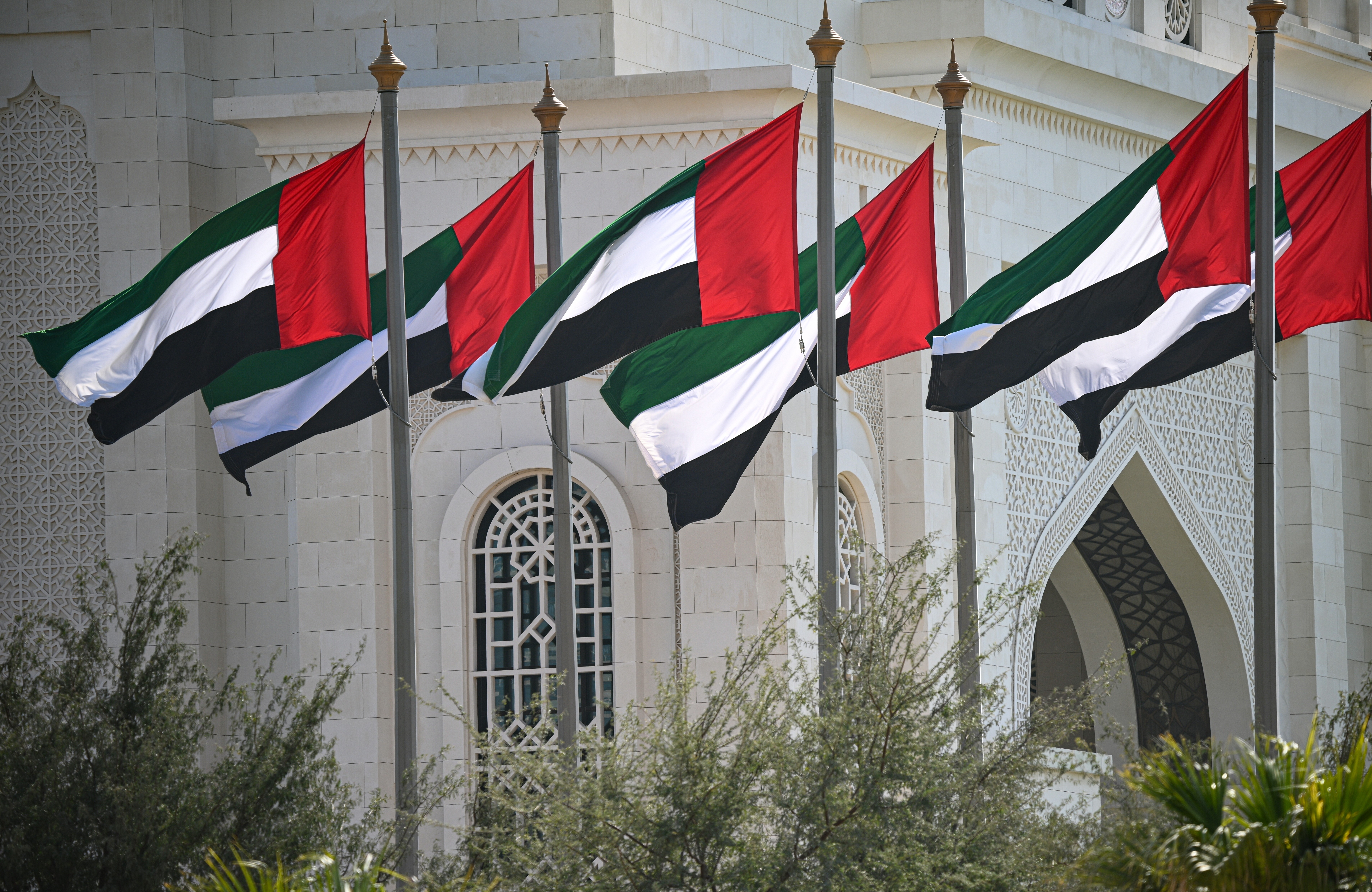 ���������&nbsp; ���������� ������� �� ������� � ��� �����������������