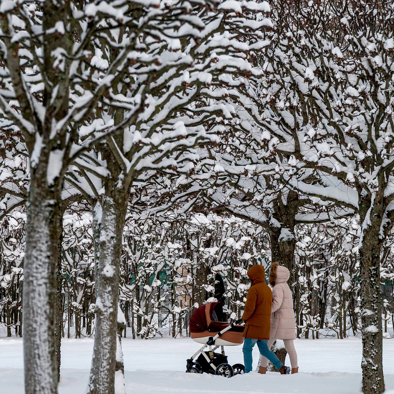 Россиянам напомнили о повышении выплат от государства с 1 февраля