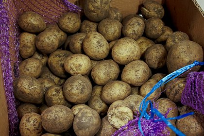 В европейском городе наступил &laquo;картофельный потоп&raquo;