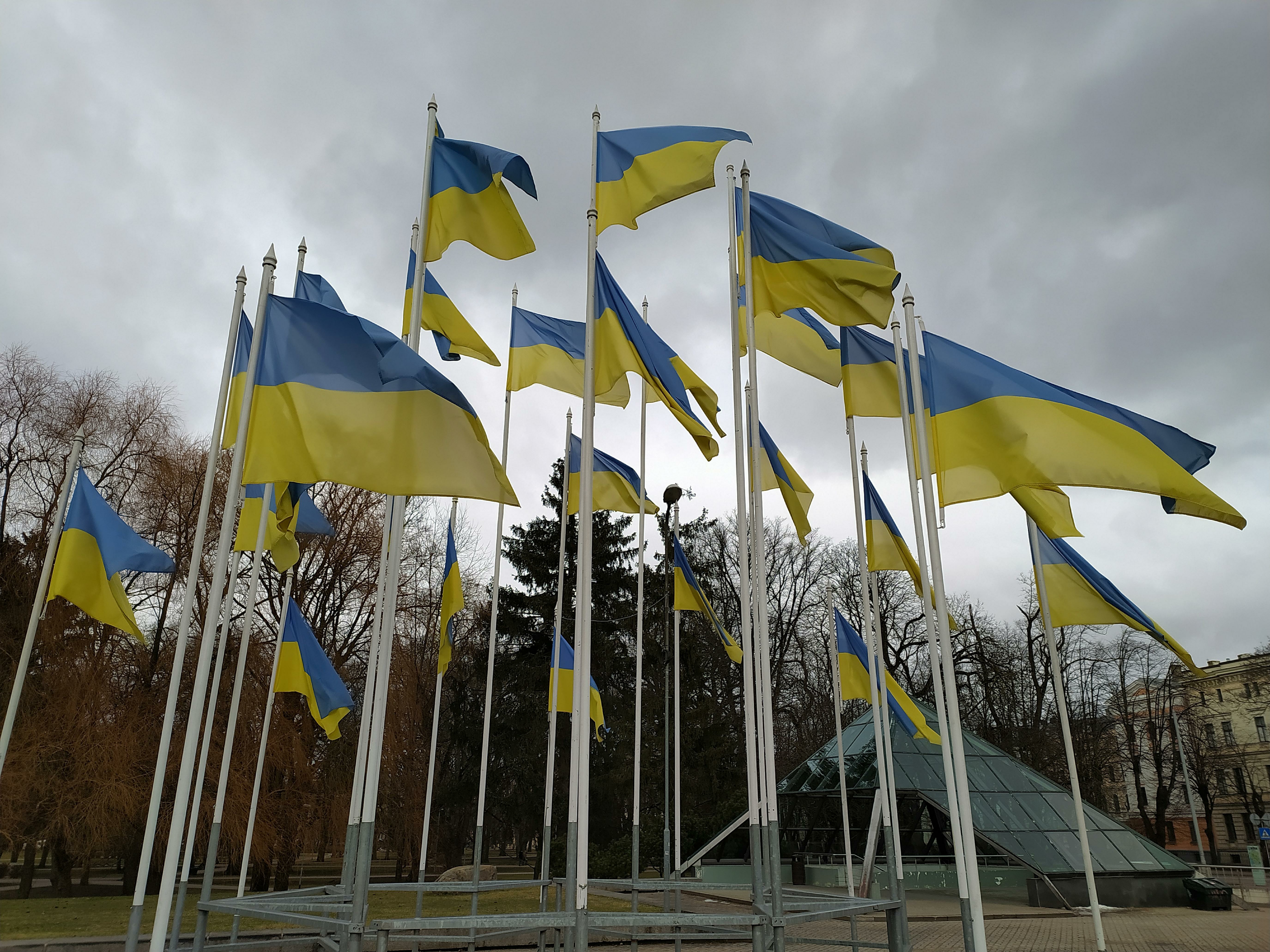 ������������&nbsp; ��������� ������ �� ������������� ������� ������ ������