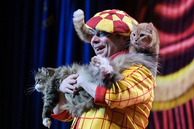 Вводная картинка