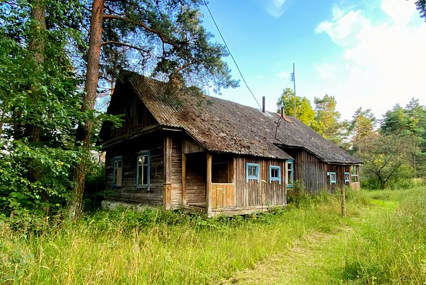 Вводная картинка