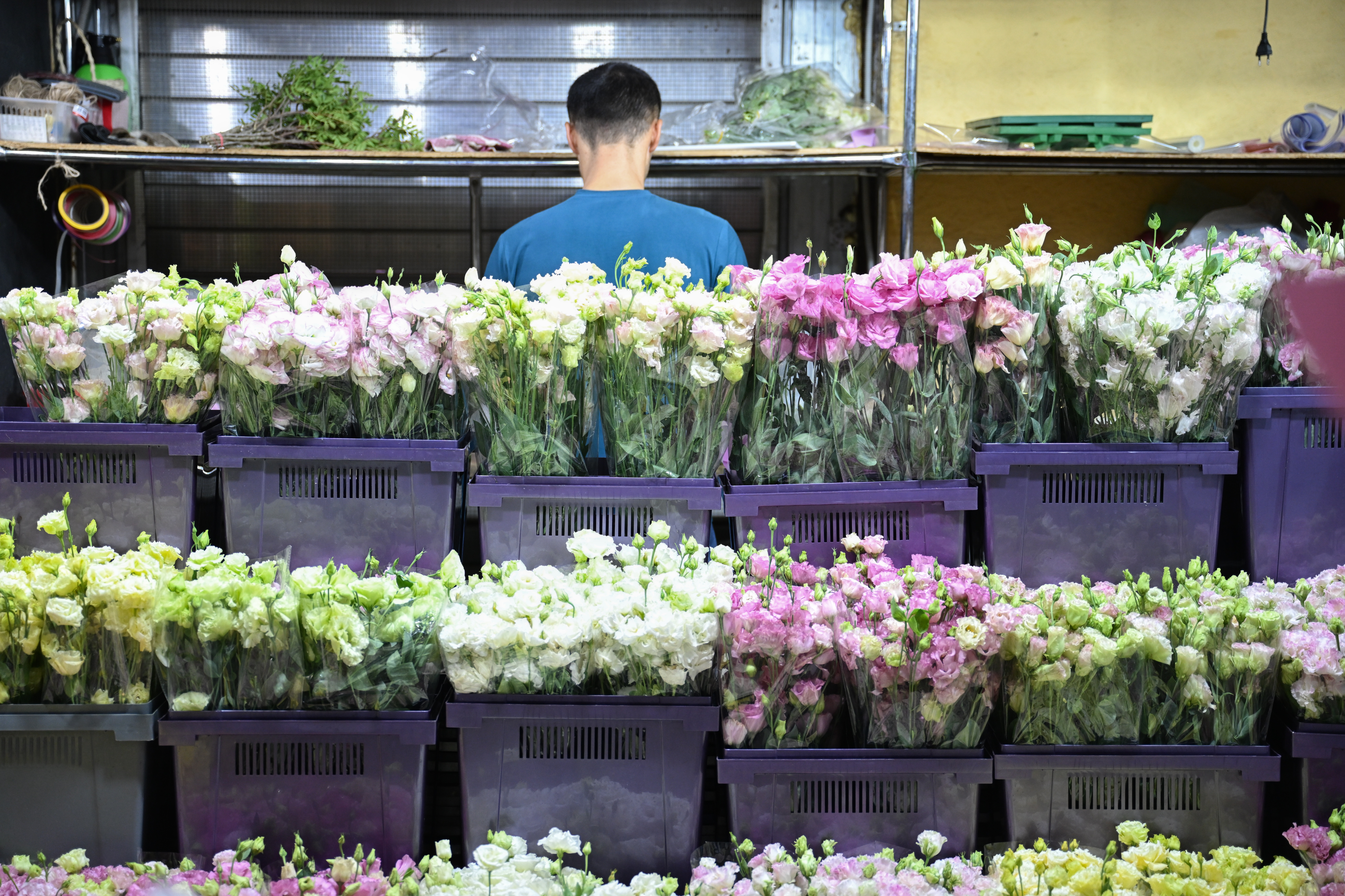 ���������&nbsp; ���������� � ����� �� ����� �� ��� ������� ���������