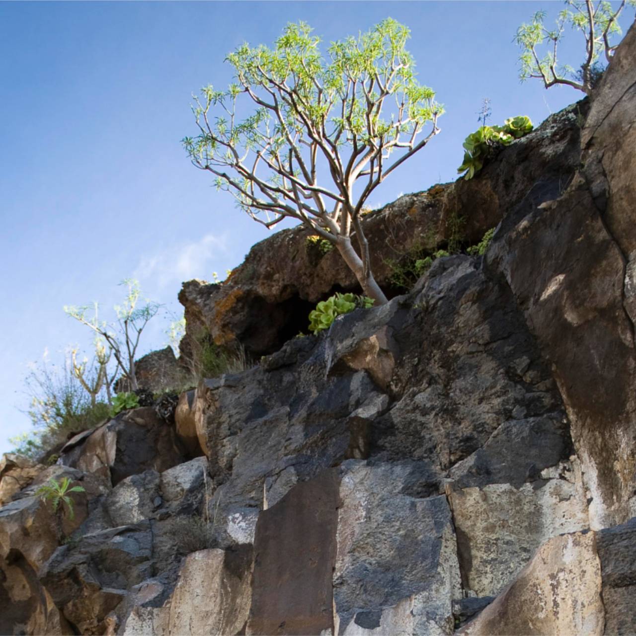 Загадочные человеческие останки нашли в отдаленной пещере