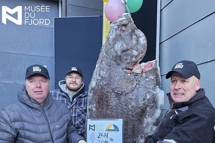 Рыбак поймал огромного палтуса размером с человека и установил новый рекорд