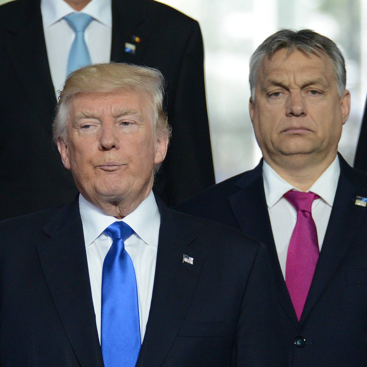 Дональд Трамп и Виктор Орбан. Фото: Алексей Витвицкий / РИА Новости