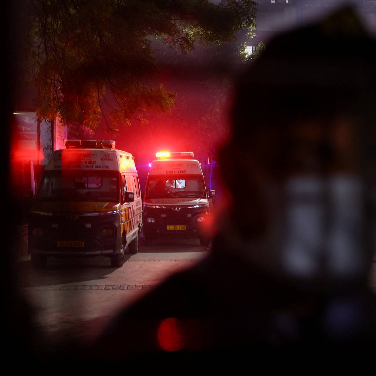 Неизвестный хищник растерзал 60-летнюю женщину