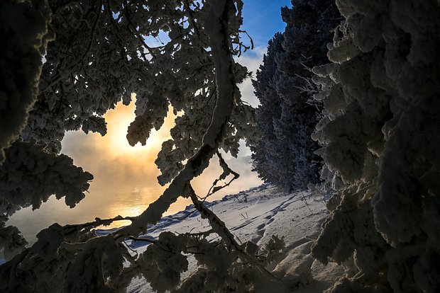 Вводная картинка