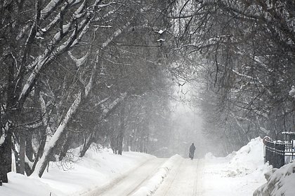 Москвичей предупредили о нашествии насекомых