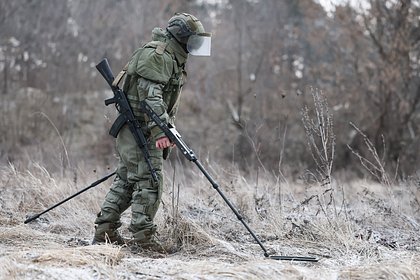 Российский сапер обезвредил более 80 мин ВСУ в огороде мирной жительницы