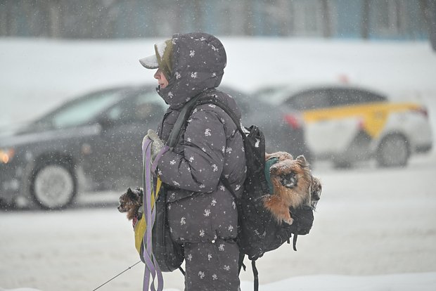 Вводная картинка