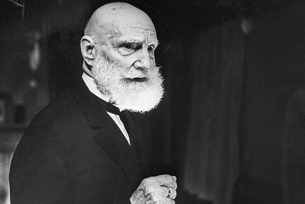 Вводная картинка